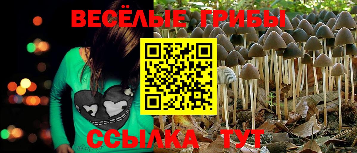 Псилоцибиновые грибы мухоморы Азов