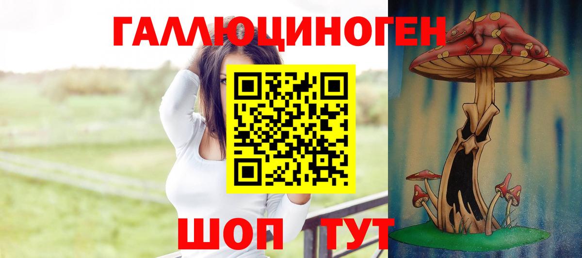 где купить наркоту  Псилоцибиновые грибы MAGIC MUSHROOMS  Вход с VPN  Азов 